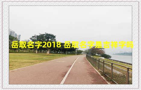 岳取名字2018 岳取名字是吉祥字吗